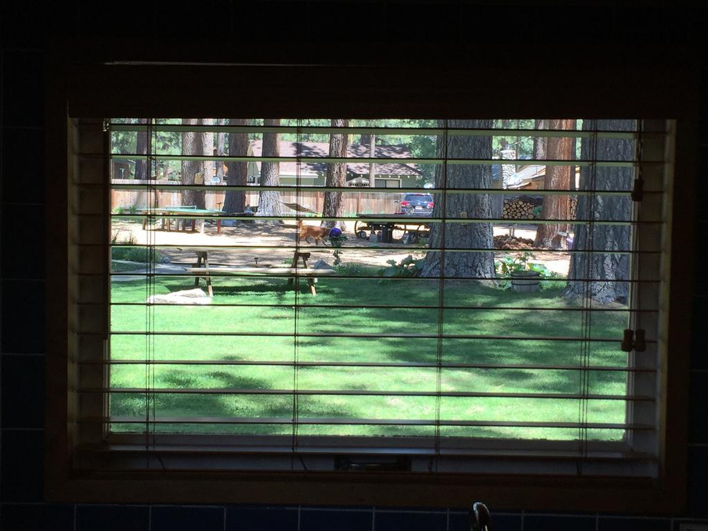 Holly'S Place South Lake Tahoe Oda fotoğraf